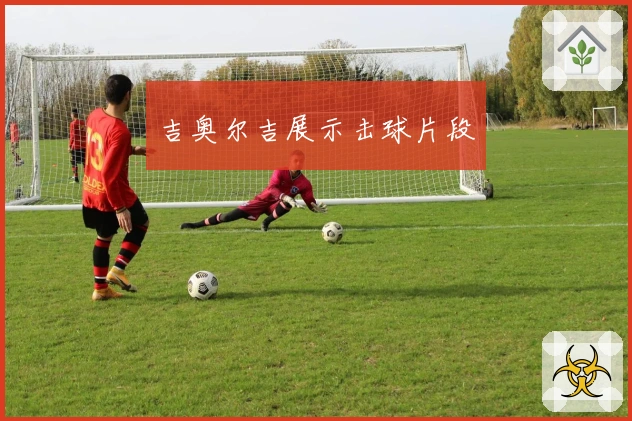 吉奥尔吉展示击球片段